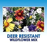 Deer Resistant/Tolerant Wildflower Seeds Bulk + 8 Bonus Gardening eBooks + Open-Pollinated Wildflower Seed Mix Packet, Non-GMO, No Fillers, Annual, Perennial Wildflower Seeds for Planting - 1 oz