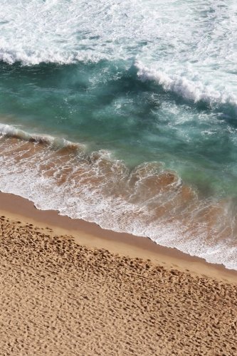 Download Beach Vacation Journal