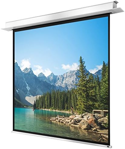 celexon motorised homecinema business projector screen a diffuse surface Ceiling-recessed Motor Pro Plus up to 4K - 280x210 cm - 4:3 - Gain 1.2