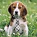 Segarty Dog Ties 30 PCS Dog Neckties, Adjustable Neck Ties and Bows for Medium Large Pets Festival Formal Bulk Pet Bowties Collar Grooming Accessories Holiday Birthday Wedding Costumes