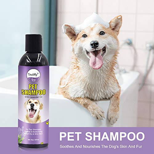 Natural Dog Shampoo, Oatmeal Dog Shampoo, Puppy Shampoo, Pet Shampoo