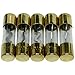 Bass Rockers 5 Gold Plated AGU Fuses 100A - AGU100A