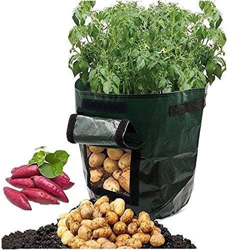 Amazon Com String Lights Potato Grow Container Bag Diy Planter Pe Cloth Planting Vegetable Gardening Vegetable Pot Planting Grow Bag Garden Tool Home Kitchen