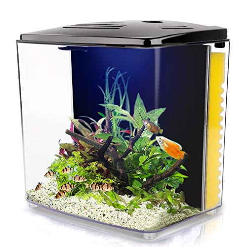 YCTECH 1.4 Gallon Square Betta Aquarium Starter Kits, Fish Tank with LED Light and Filter Pump White Black (220black)