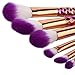 12 PCS Makeup Brushes, Emubody Make Up Blush Foundation Eyebrow Eyeliner Concealer Brushes Sets