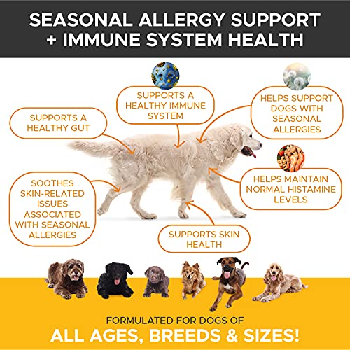 Pet Honesty Dog Allergy Relief Chews, Omega 3 Salmon Fish Oil Probiotic