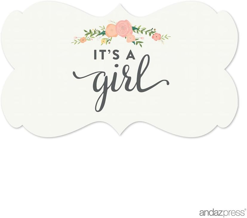 Andaz Press Fancy Frame Rectangular Label Stickers, It's a Girl!, Floral Roses, 36-Pack