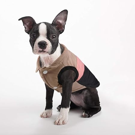 Idepet Haustier Hund Katze Mantel mit Leine Anker Farbe Patchwork gepolsterte Welpen Weste Teddy Jacke Chihuahua Kostüme Mops