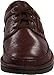 Clarks Men's Natureveldt Oxford