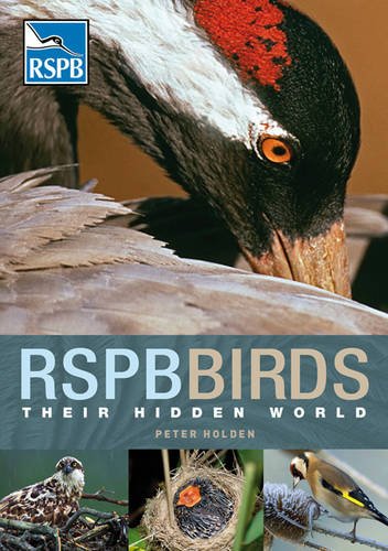 RSPB Birds: their Hidden World