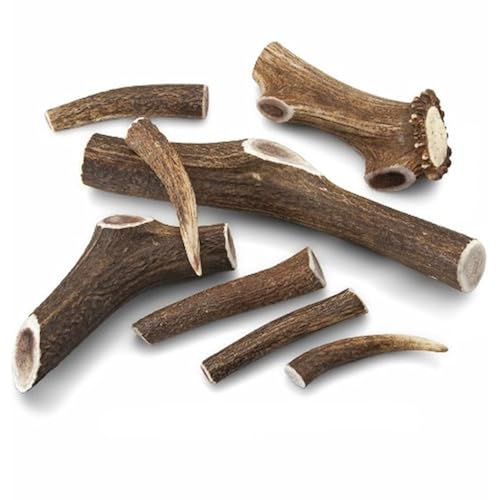 market your products that are Bones