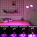 Plant Grow Light, SOLMORE Dual Head Plant Lights Desk Clip 14 LED 4 Dimmable Levels Grow Lamp with 360° Adjustable Gooseneck Grow Light for Indoor Plants,Plant Growing,Greenhouse,Hydroponic Garden