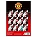 Manchester United Official 2019 Soccer Calendar (A3)