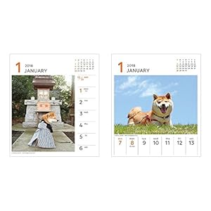 Art Print Japan 2018 weekly calendar Shiba inu, Daifuku, No.031 1000093364