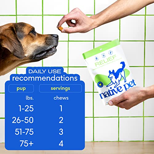 Native Pet Relief Anti Inflammatory for Dogs Turmeric + Polyphenols