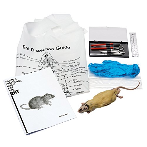 Nasco’s “Try It” Classroom Dissection Kit - Rat Kit