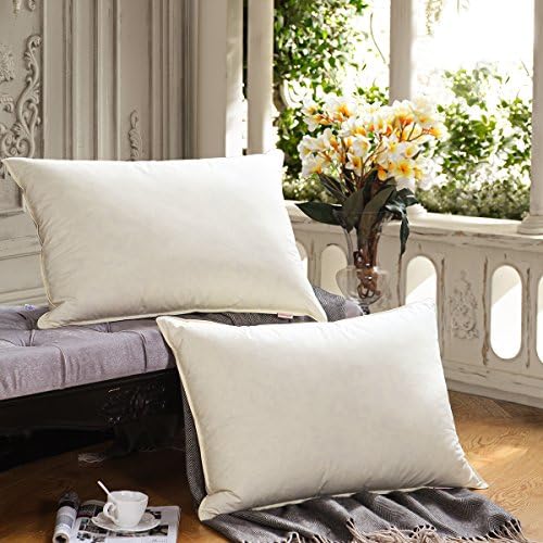 SNOWMAN Luxury Goose Down Pillow Sleeping (Set of 2) Queen Size Pillow - 100% Cotton Shell Anti-allerge Breathable Fresh, Beige(Set of 2 Queen) Only Need $17.99 Use Code