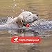 COVONO Dog Shock Collar with Remote, Rechargeable Training Collars, Waterproof, 1300 Ft Range, Beep/Vibration/Shock Correctionthumb 3
