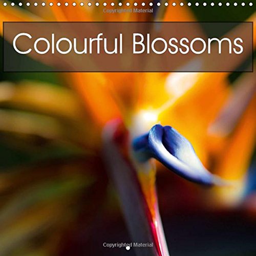 Colourful Blossoms 2017: Beautiful and Colourful Blossoms and Flowers (Calvendo Nature)