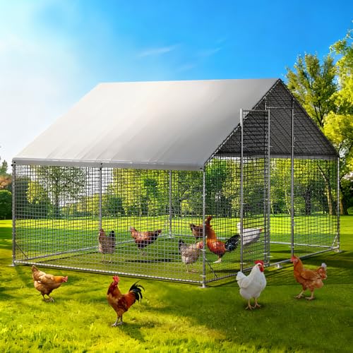 LEVELEVE Large Walk-in Chicken Coop