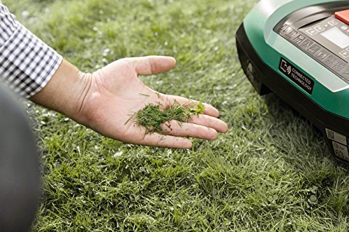 Mulchmähen mit einem Mähroboter