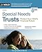 Special Needs Trusts + Website: Protect Your Child's Financial Future