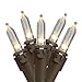 LED Mini Christmas Lights - Warm White - 16.25' Brown Wire - 50ct