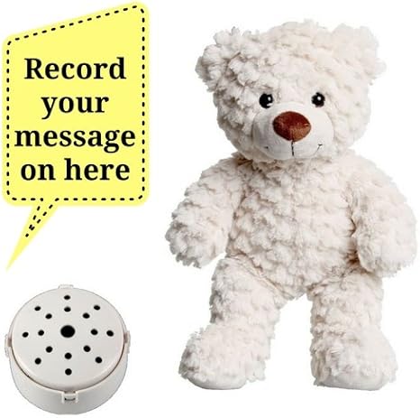 teddy bear with voice message