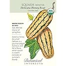 Squash Winter Delicata Honeyboat Organic Seed