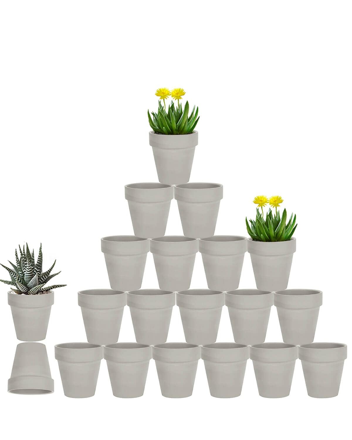 Photo 1 of vensovo 3 Inch Grey Terra Cotta & Terracotta Pots with Drainage - 20 Pack Clay Flowerpots, Succulent Nursery Planter Great for Plants, Crafts, Wedding Favor