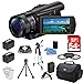 Sony FDRAX100/B FDR-AX100 FDRAX100 AX100 4K Video Camera w/ 3.5-Inch LCD (Black) Bundle w/ 64GB Memory Card, Gadget Bag, Battery (2), Battery Charger, Filter Kit, Memory Card Reader, Full Size Tripod, Mini Tripod, Screen Protectors and Cleaning Kit