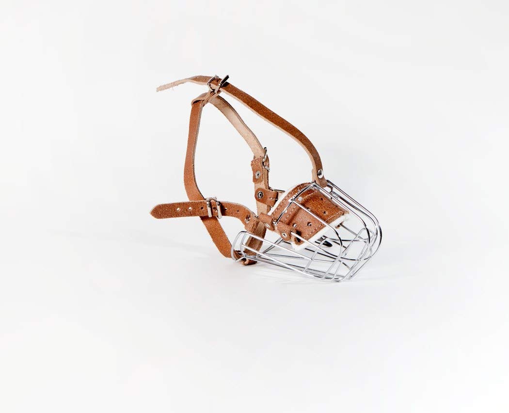 Metal Wire Basket Dog Muzzle for Collie Greyhound and similar dogs (3D, silver/brown)