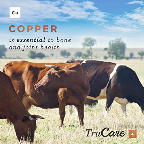 TruCare 4 TopDress Trace Mineral Blend for Livestock Beef Cattle