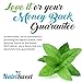 NatriSweet Original Stevia Liquid Drops | Highly Concentrated Stevia Extract Sugar Substitute | Naturally Sweet | Unflavored (2 fl oz/60 ml)