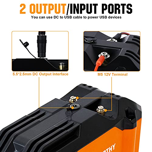 ECOWORTHY Portable 12V Lithium Battery, 20Ah LiFePO4 Deep Cycle