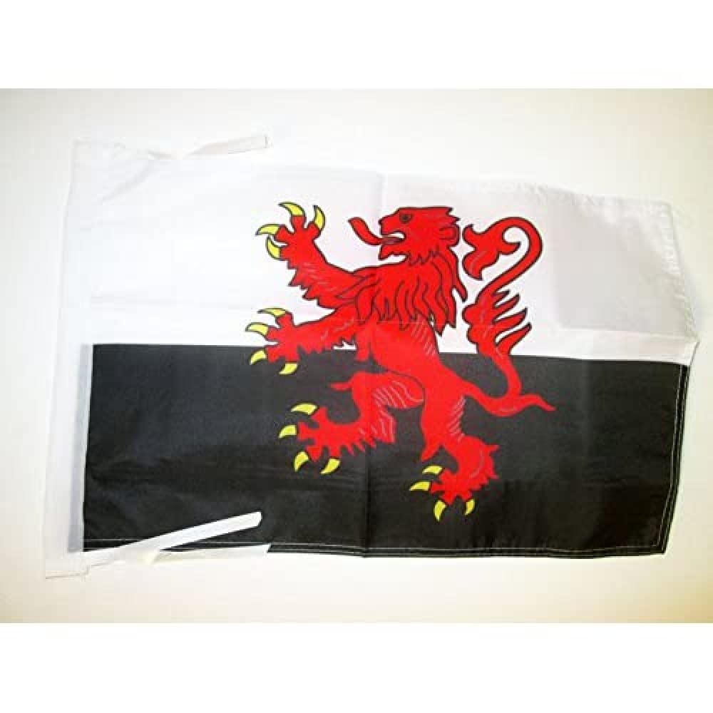 AZ FLAG - Poitou-Charentes alternative Flag - 18'' x 12'' - 100% Polyester French region of Poitou-Charentes Small Banner with Two Cords - Fade Resistant - Vivid Colors - 18x12 in - 45x30 Cm