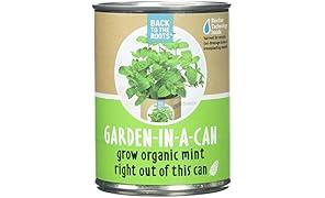 Back to The Roots Garden in A Can Grow Organic Mint, 0.38647 Pound