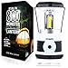 Internova Monster LED Camping Lantern - Battery Powered - Massive Brightness - Perfect for Hurricane - Camp - Emergency Kit (White 800 Lumen)