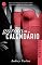 Livro A garota do calendário: Novembro