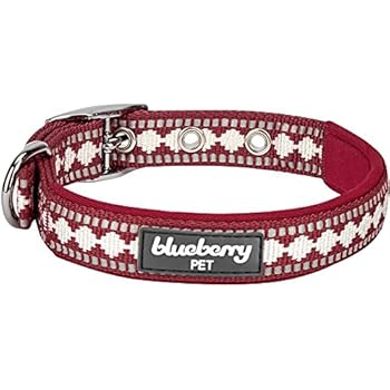 Blueberry Pet 7 Colors Soft & Safe 3M Reflective Jacquard Neoprene Padded Adjustable Dog Collar with Metal Buckle - Marsala Red, Neck 9-12.5