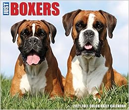 box dog breed