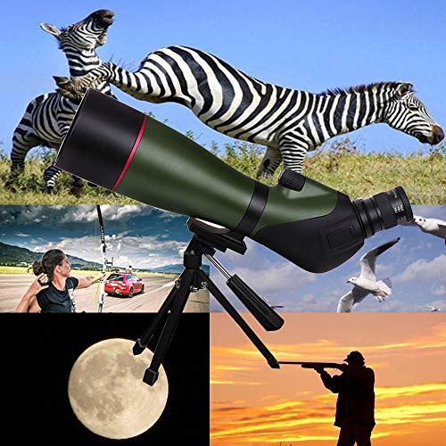 1 DTF+20+60x80+Spotting+Waterproof+Shooting