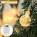 Battery Operated String Lights, 21.3ft 30 LED Beexcellent Globe Lights Waterproof Fairy Lights with Remote Controller for Christmas Garden Home Patio Wedding Party Holiday Decoration (Warm White)