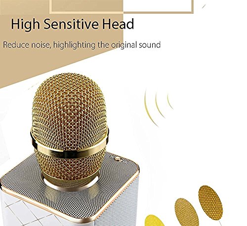 Templeton-3-in-1-Wireless-Karaoke-Microphone-w-Built-In-Bluetooth-Speaker-Echo-Effects-Functions-Use-w-iPhone-Apple-Android-PC-Smartphones-w-Free-Cell-Phone-Lyrics-Holder