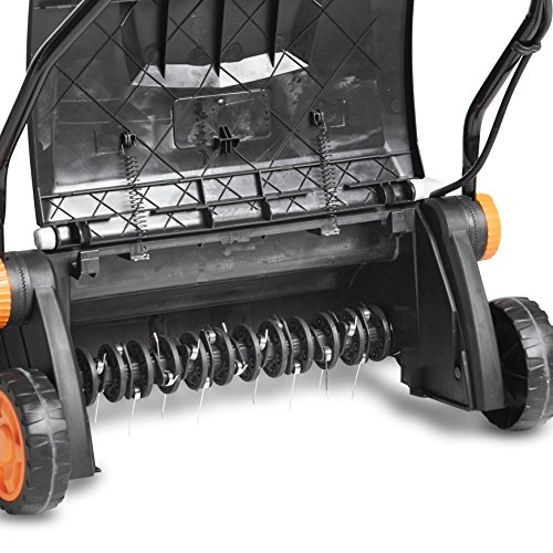 raspberry and vanilla ice cream