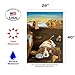 Toland Home Garden 102645 Salvador Doggy-Basset Hound Dog Flag 28x40 Inch Double Sided Dog Garden Flag for Outdoor House Basset Hound Flag Yard Decoration