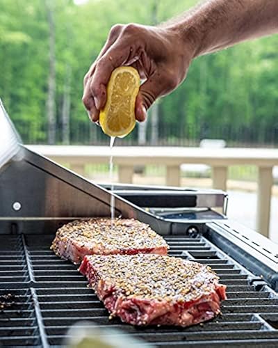 Monument Grills Larger 4-Burner Propane Gas Grills Stainless Steel