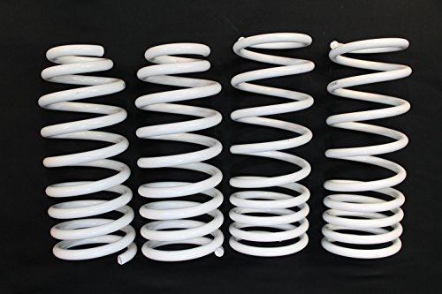 Zx White Lowering Springs 2012 Fr S Brz 1 75 | Desertcart Martinique
