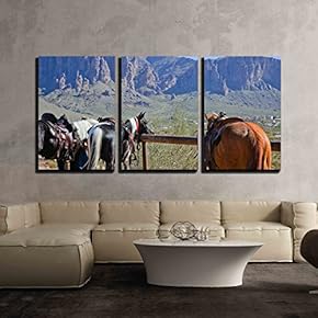 3 Piece Canvas Wall Art - Horses in Arizona USA - Modern Home Art Stretched and Framed Ready to Hang - 16"x24"x3 Panels