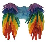 Rainbow Wings Costume Accessory